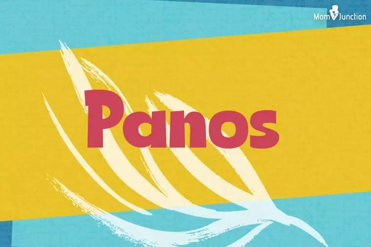 Panos Stylish Wallpaper