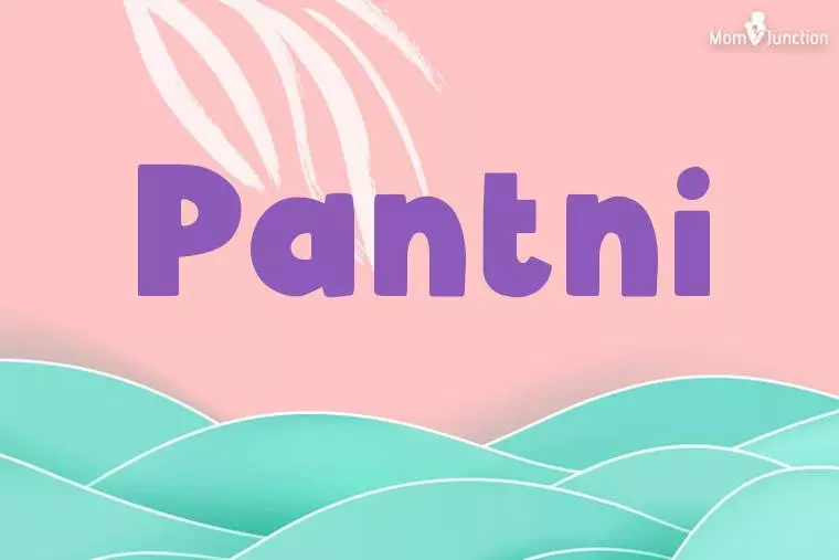 Pantni Stylish Wallpaper