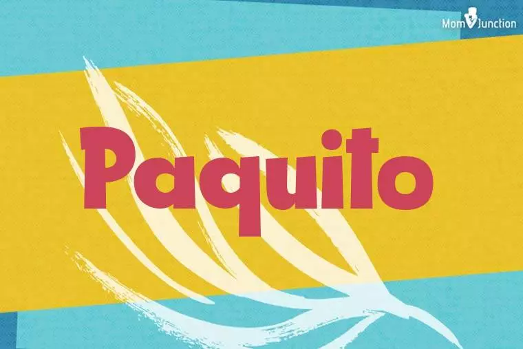 Paquito Stylish Wallpaper