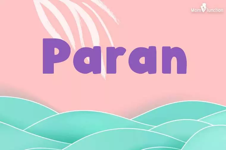 Paran Stylish Wallpaper