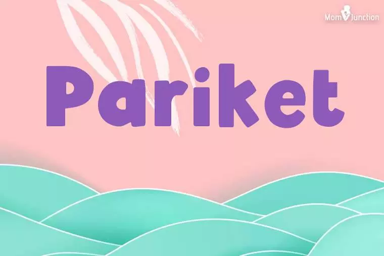 Pariket Stylish Wallpaper