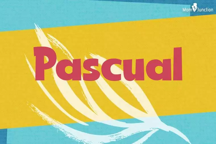 Pascual Stylish Wallpaper