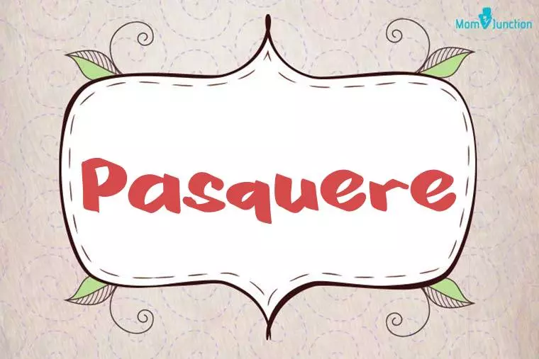 Pasquere Stylish Wallpaper