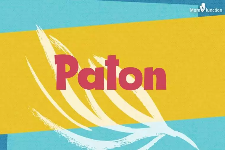 Paton Stylish Wallpaper