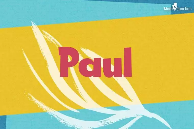 Paul Stylish Wallpaper