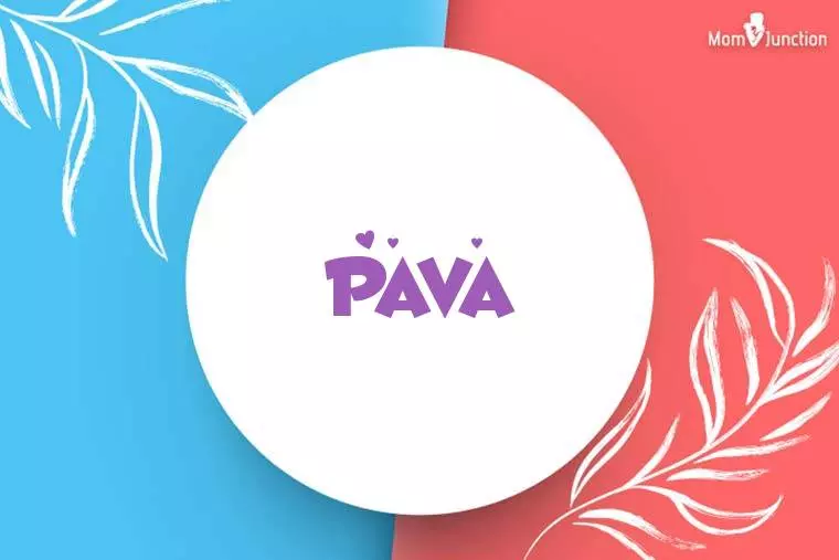 Pava Stylish Wallpaper