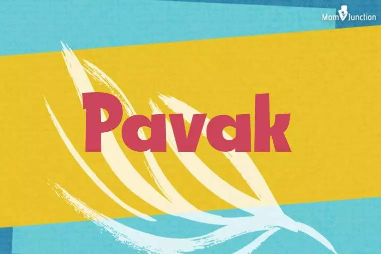 Pavak Stylish Wallpaper