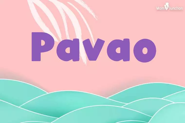 Pavao Stylish Wallpaper