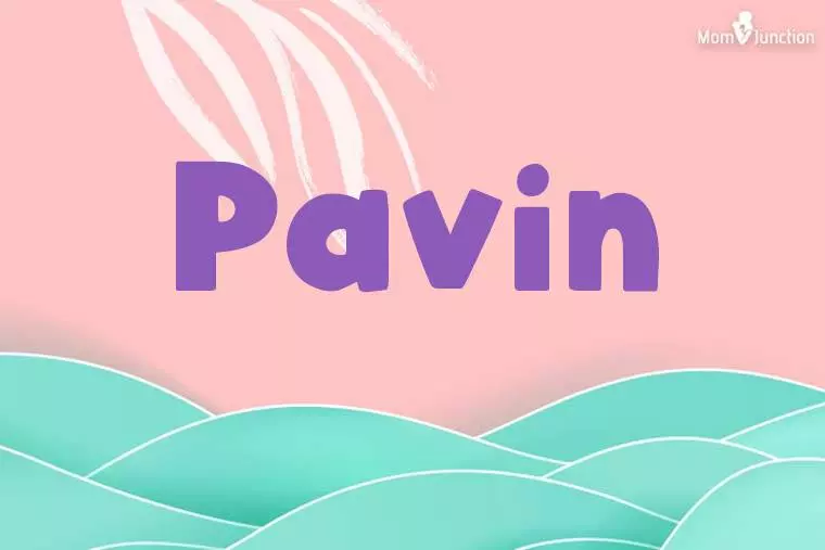 Pavin Stylish Wallpaper