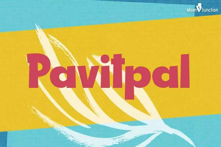 Pavitpal Stylish Wallpaper