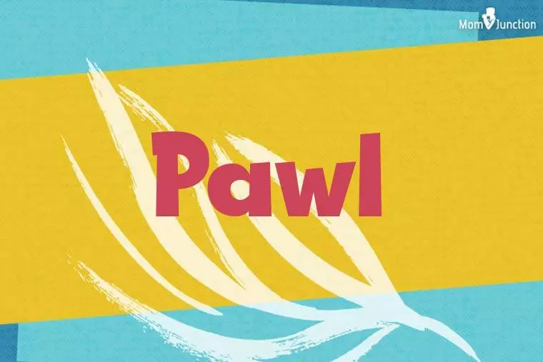 Pawl Stylish Wallpaper