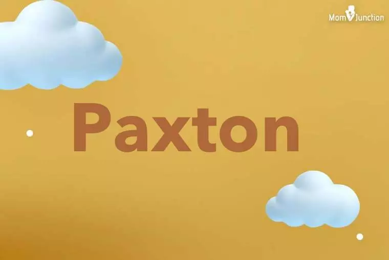 Paxton 3D Wallpaper