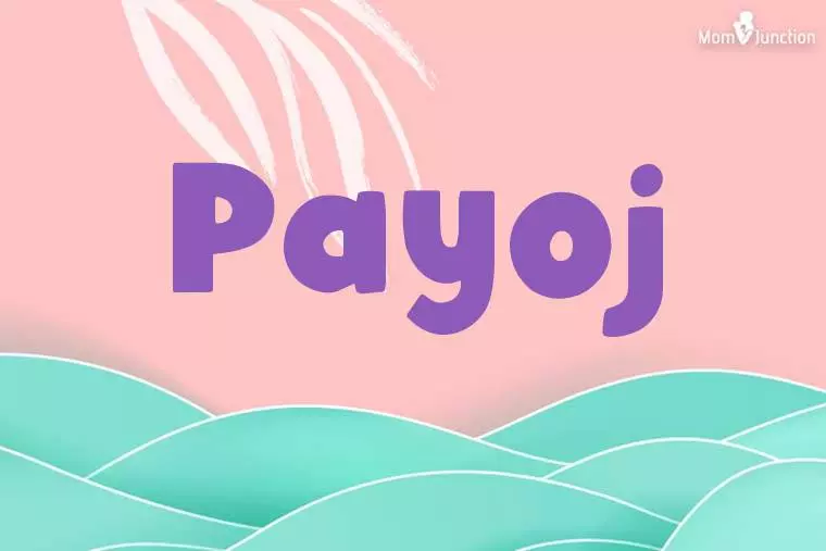 Payoj Stylish Wallpaper