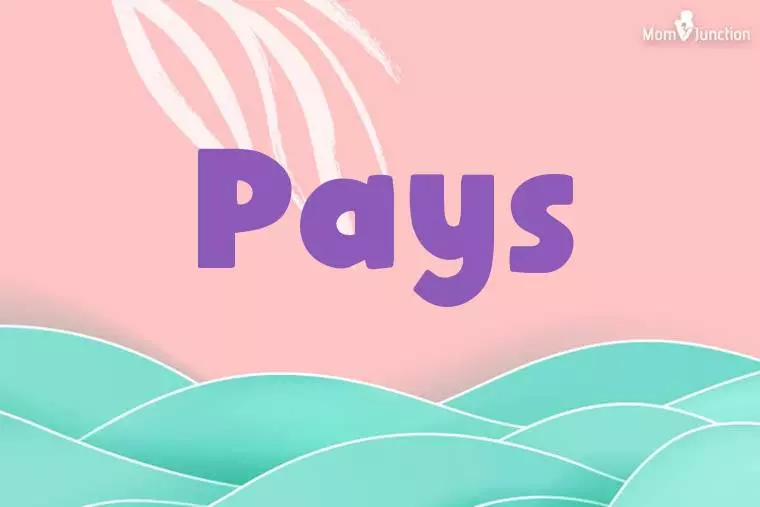 Pays Stylish Wallpaper