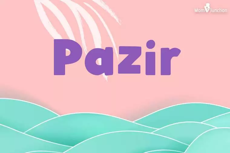 Pazir Stylish Wallpaper