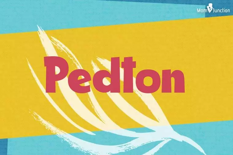 Pedton Stylish Wallpaper