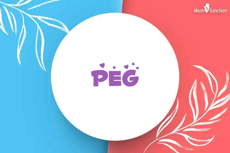 Peg Stylish Wallpaper