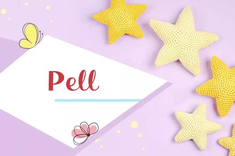 Pell Stylish Wallpaper