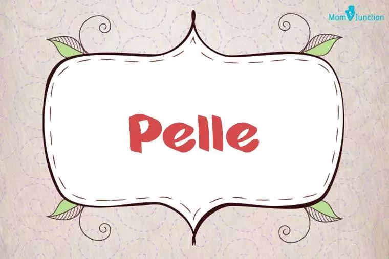 Pelle Stylish Wallpaper