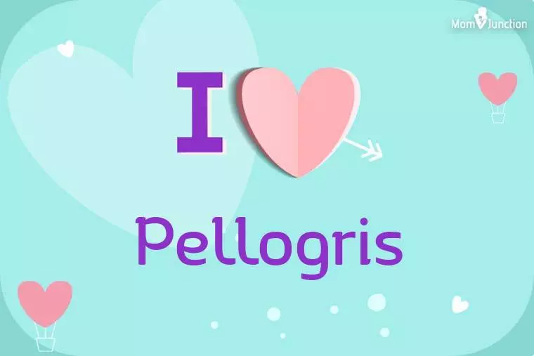 I Love Pellogris Wallpaper