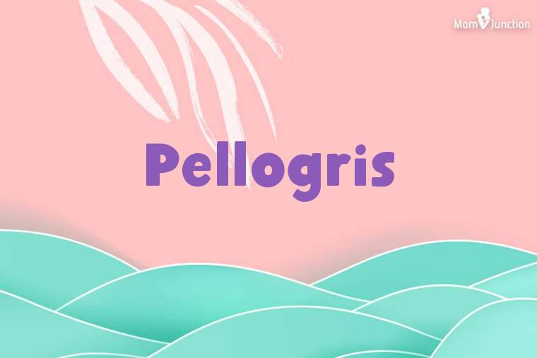 Pellogris Stylish Wallpaper