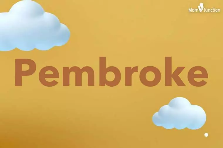 Pembroke 3D Wallpaper