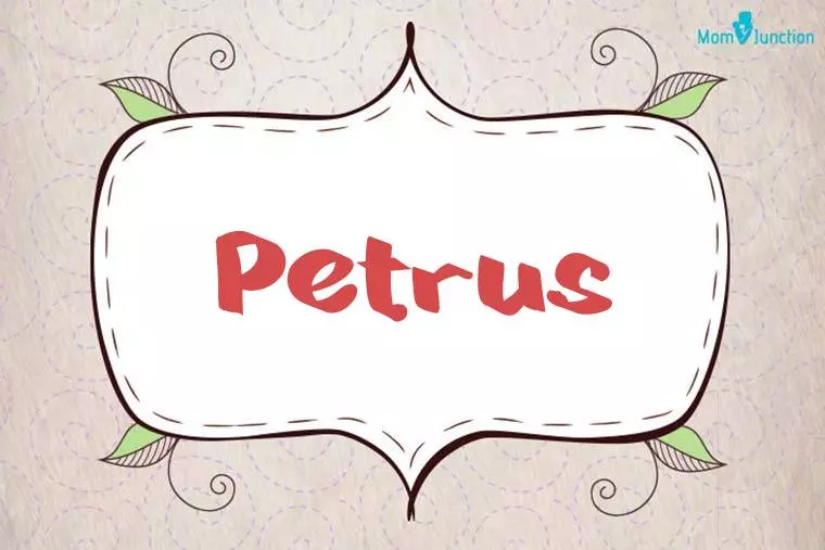 Petrus Stylish Wallpaper