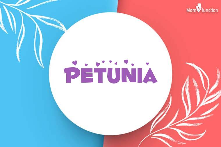 Petunia Stylish Wallpaper