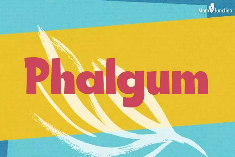 Phalgum Stylish Wallpaper