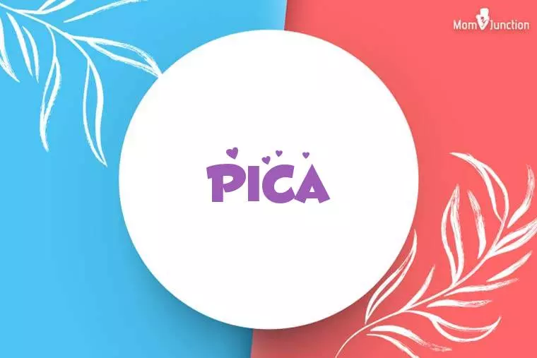 Pica Stylish Wallpaper