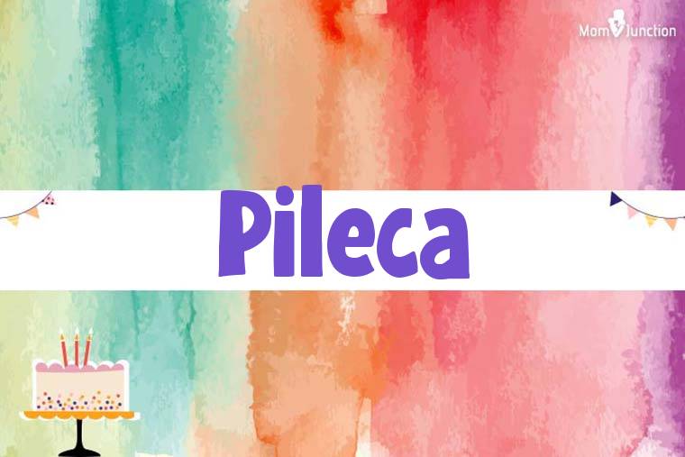 Pileca Birthday Wallpaper