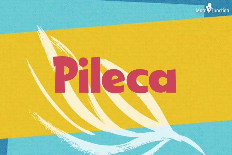 Pileca Stylish Wallpaper