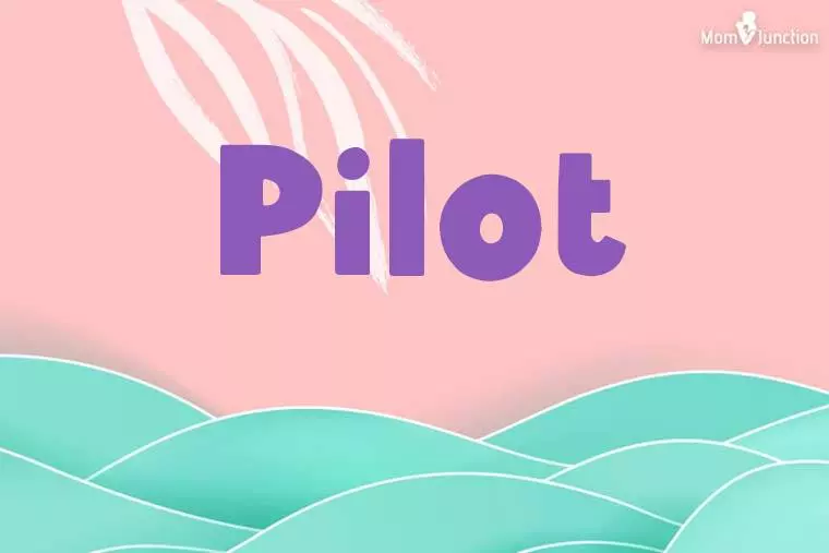 Pilot Stylish Wallpaper