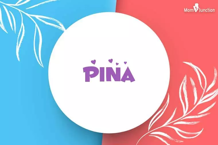 Pina Stylish Wallpaper