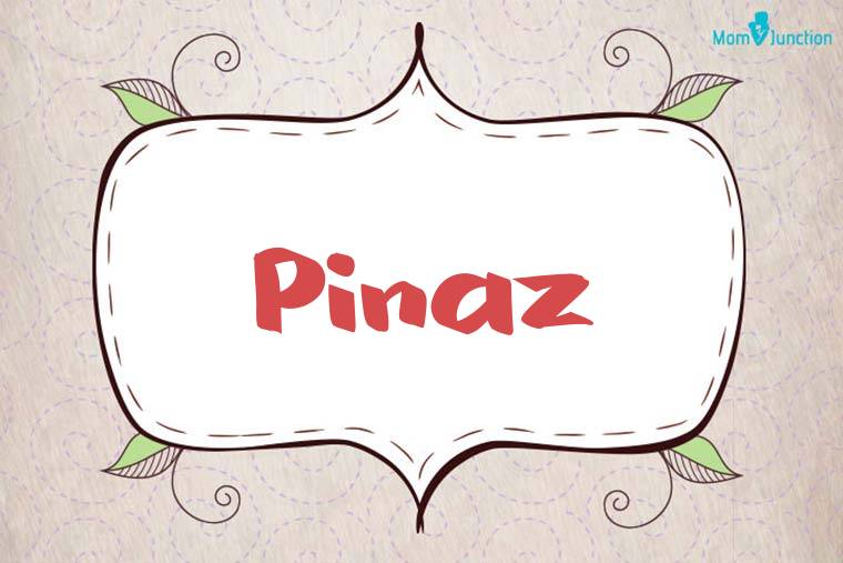 Pinaz Stylish Wallpaper