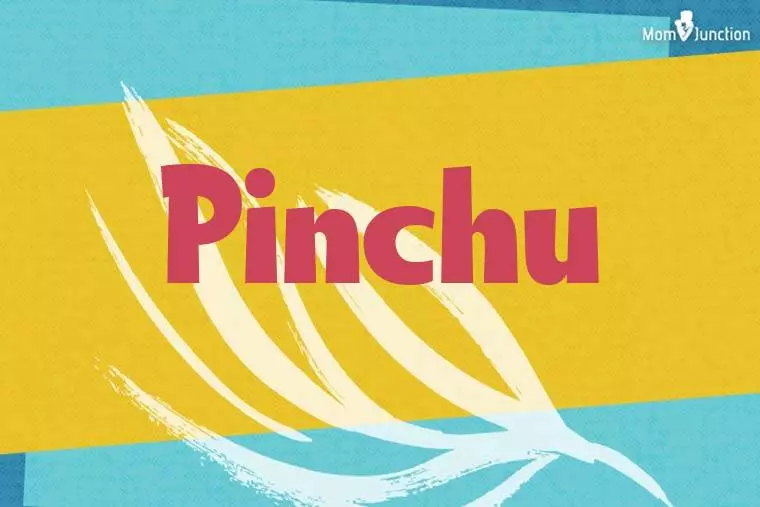 Pinchu Stylish Wallpaper