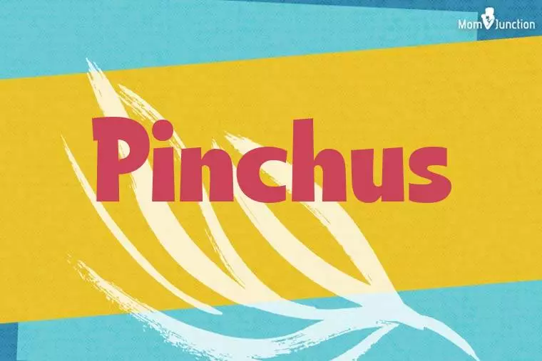 Pinchus Stylish Wallpaper