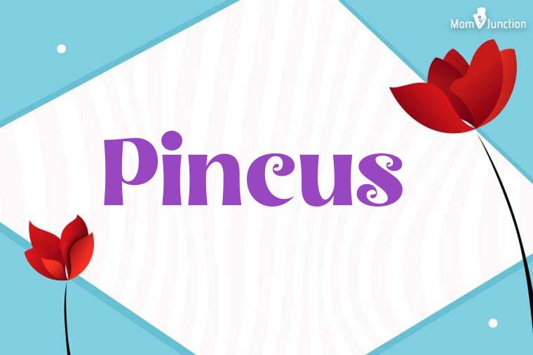 Pincus 3D Wallpaper