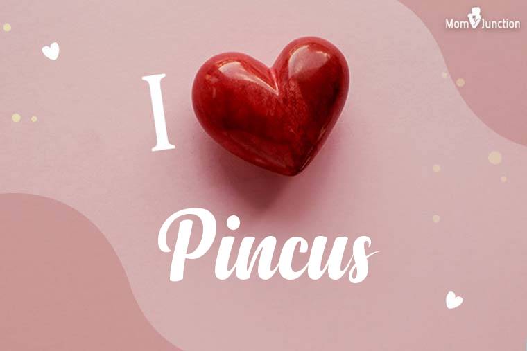 I Love Pincus Wallpaper
