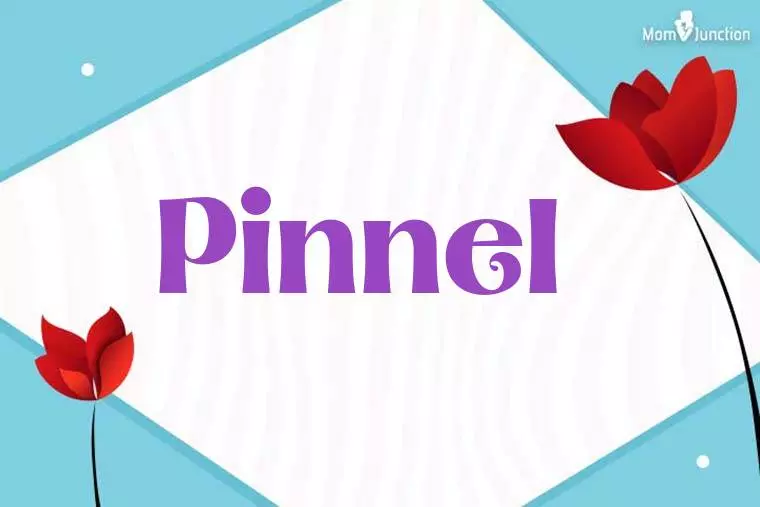 Pinnel 3D Wallpaper