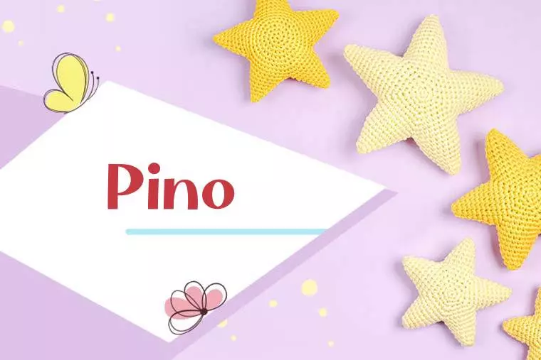 Pino Stylish Wallpaper