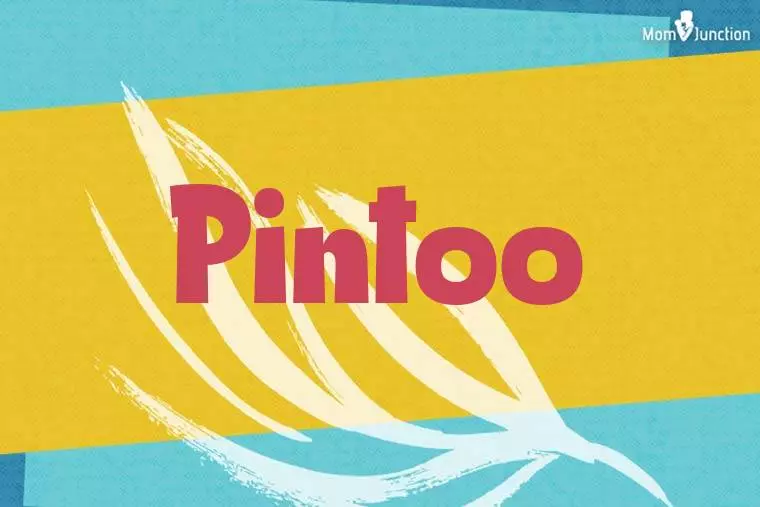 Pintoo Stylish Wallpaper