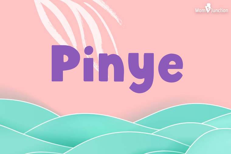 Pinye Stylish Wallpaper