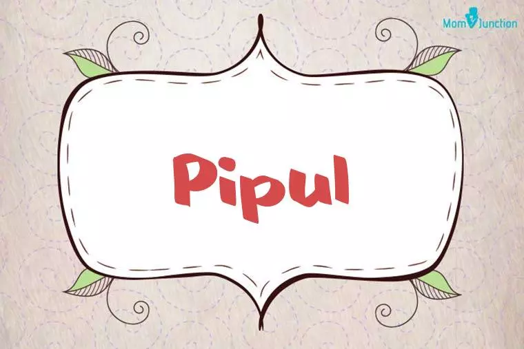 Pipul Stylish Wallpaper