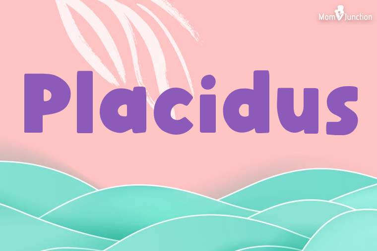 Placidus Stylish Wallpaper
