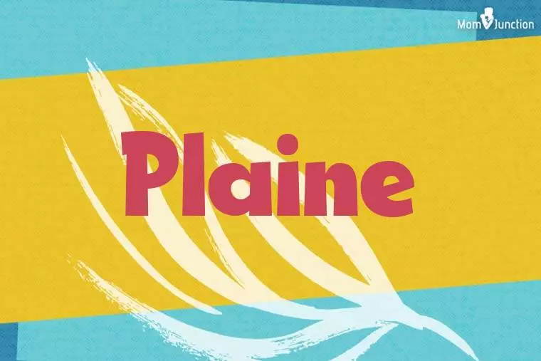 Plaine Stylish Wallpaper