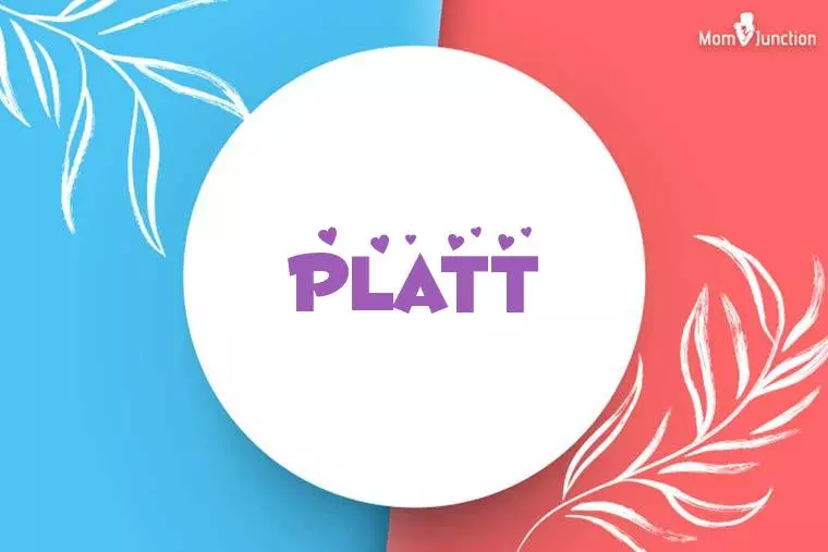 Platt Stylish Wallpaper