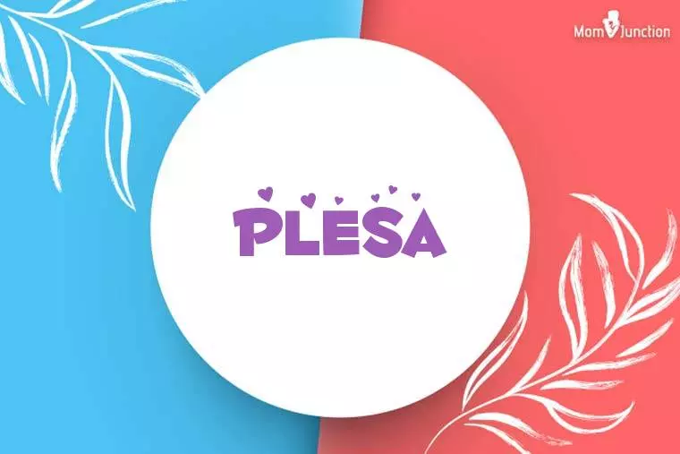 Plesa Stylish Wallpaper