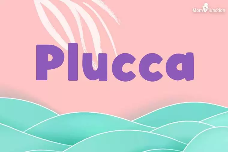 Plucca Stylish Wallpaper