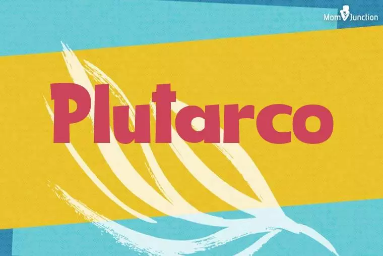 Plutarco Stylish Wallpaper